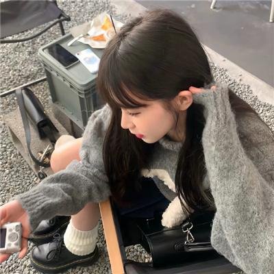 挎斗摩托车里的狗